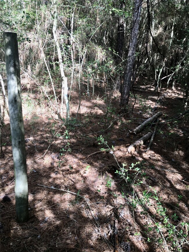 30233 Johnson Alley, Magnolia, TX 77355 - photo 3