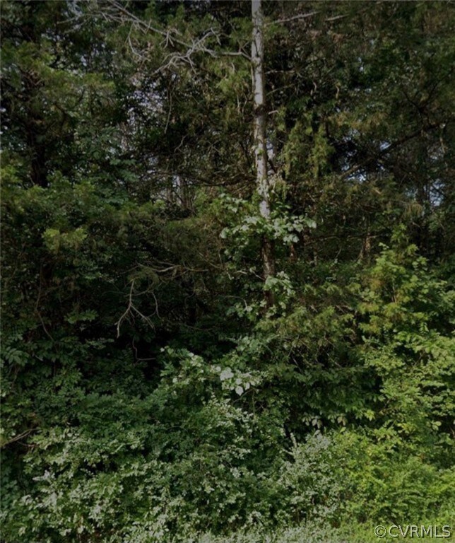 View of nature