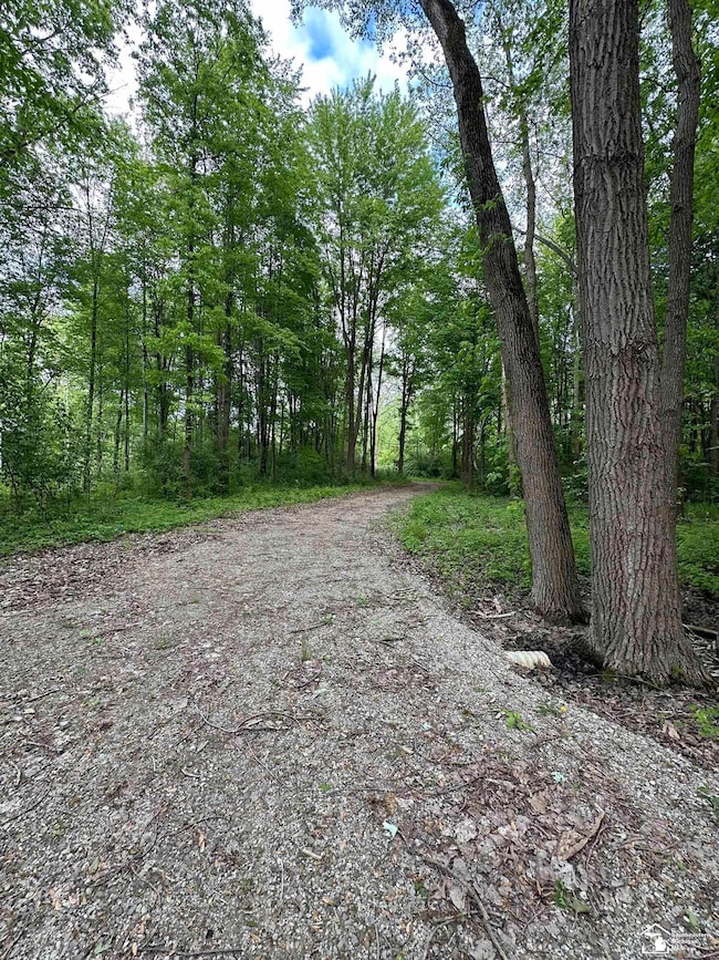 Stone driveway looking toward Douglas Rd.