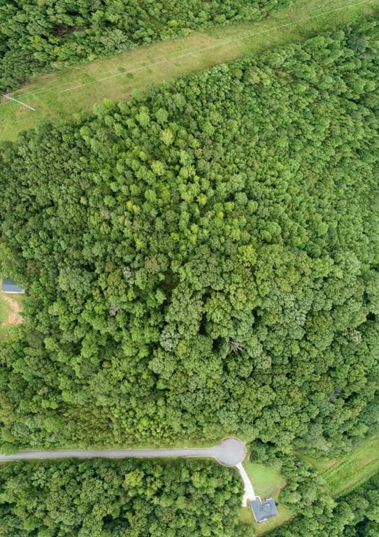 6281 Trojan Dr, Gainesville, GA 30506 - photo 2