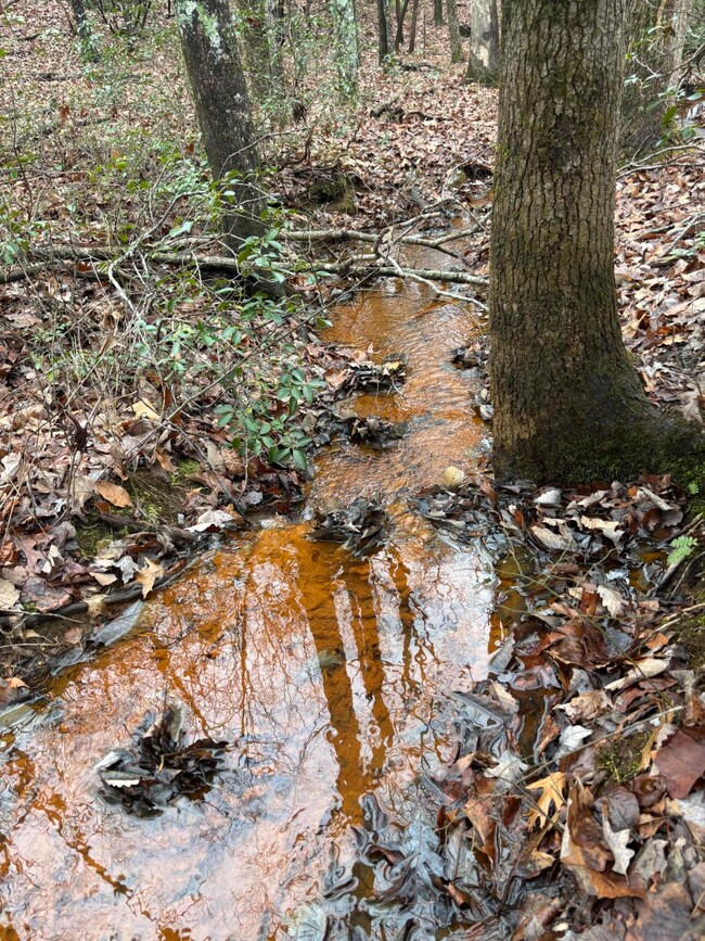 3699 Crockett Pointe, Jasper, TN 37347 - photo 5