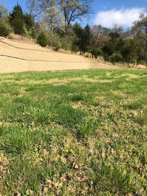 1129 Breton Woods Ct, Chesterfield, MO 63005 - photo 2