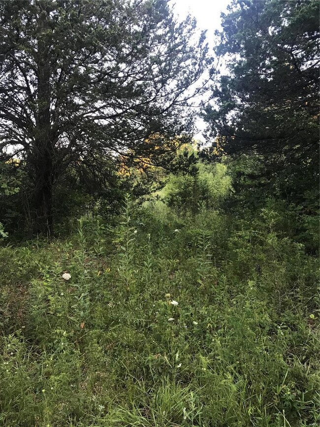 415 Cedar View Dr, Lonedell, MO 63060 - photo 2