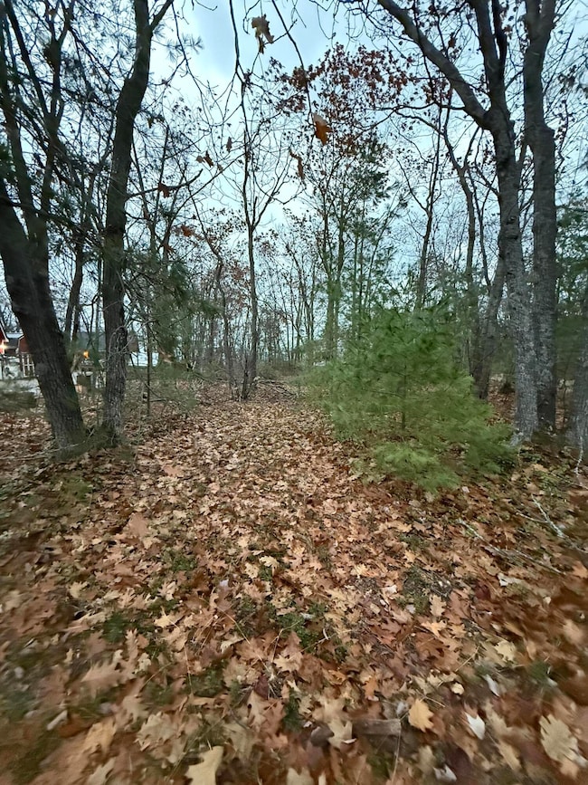 10895 Huron Trail, Cheboygan, MI 49721 - photo 6