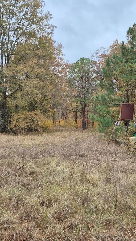 1020 Cr 2215, Detroit, TX 75436 - photo 3