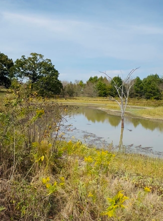 113 AC Fm 3218, Commerce, TX 75428 - photo 3