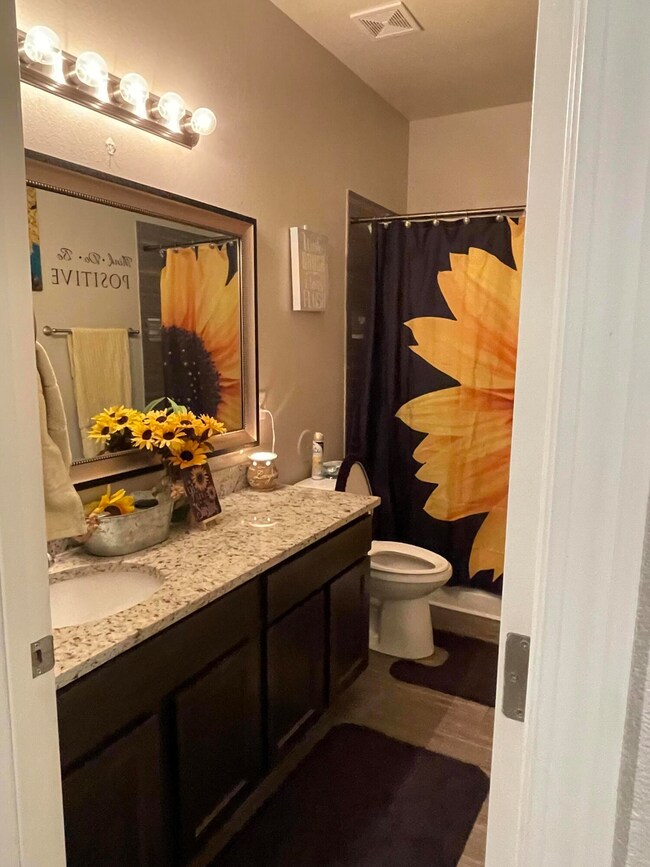 336 Canyon Vista Dr, Horizon City, TX 79928 - photo 7