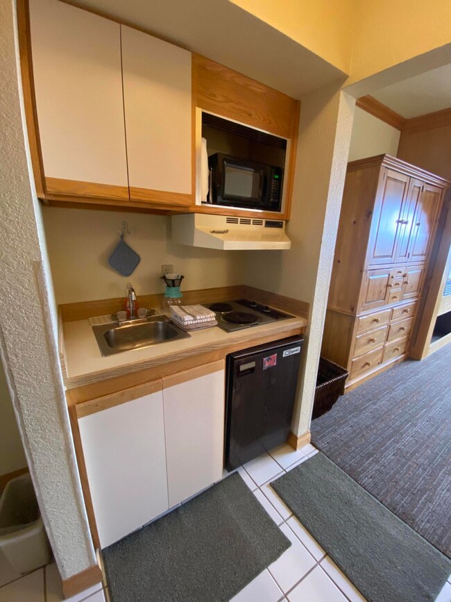 223 W Hunter Ridge Dr unit 3305 (E305), Brian Head, UT 84719 - photo 4