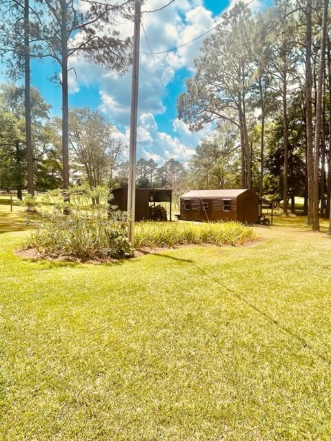 Storage Building and tool shed