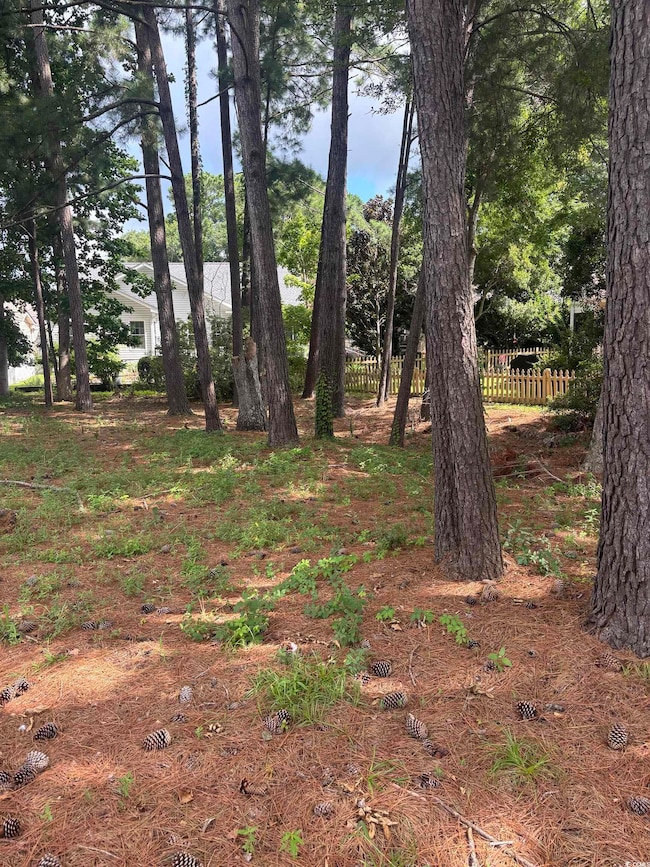 View of undeveloped land