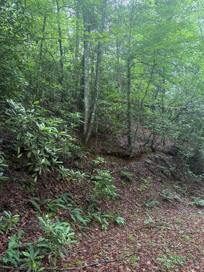 0 Willow Pond Rd unit 26041420, Franklin, NC 28734 - photo 5