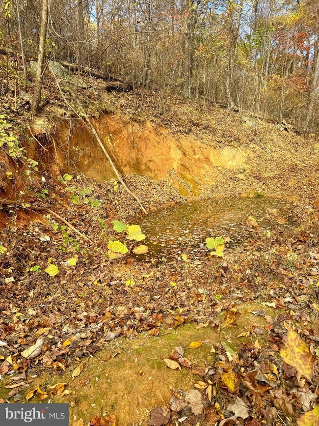 0 Woodlands Dr unit VARP2001854, Flint Hill, VA 22627 - photo 7