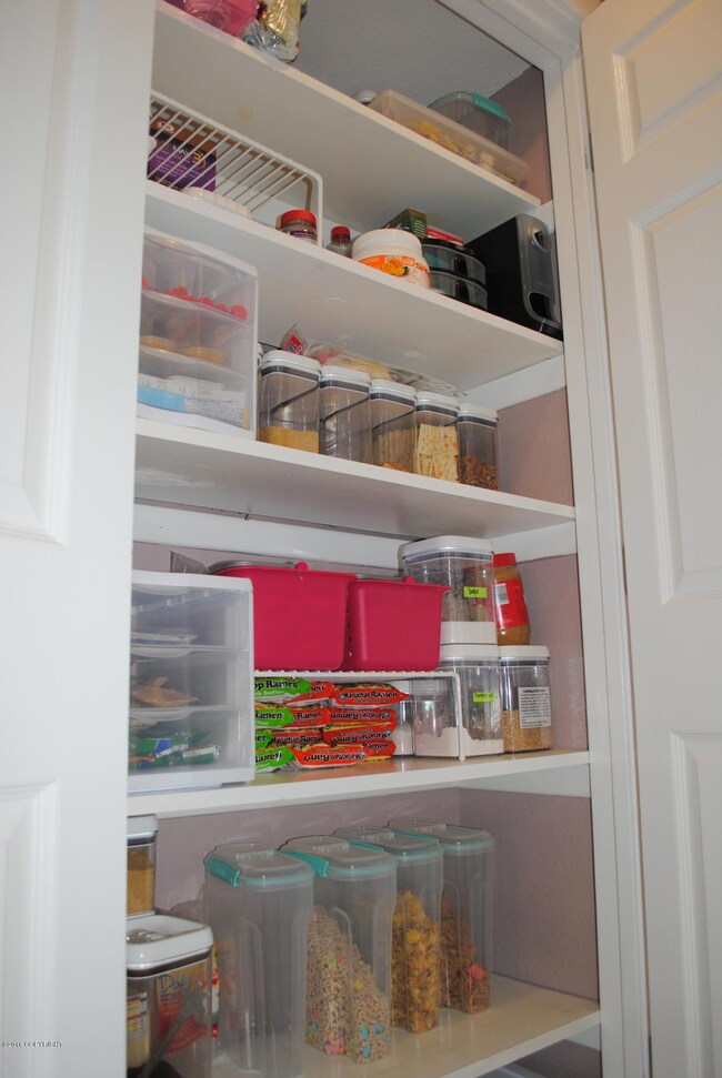 little tree kitchen pantry