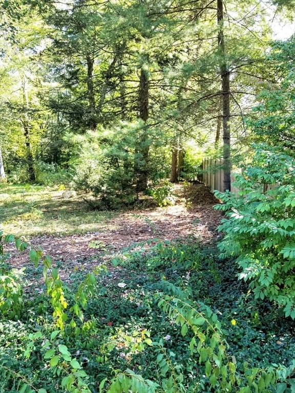 0 Red Gate Ln unit 73348273, Amherst, MA 01002 - photo 3