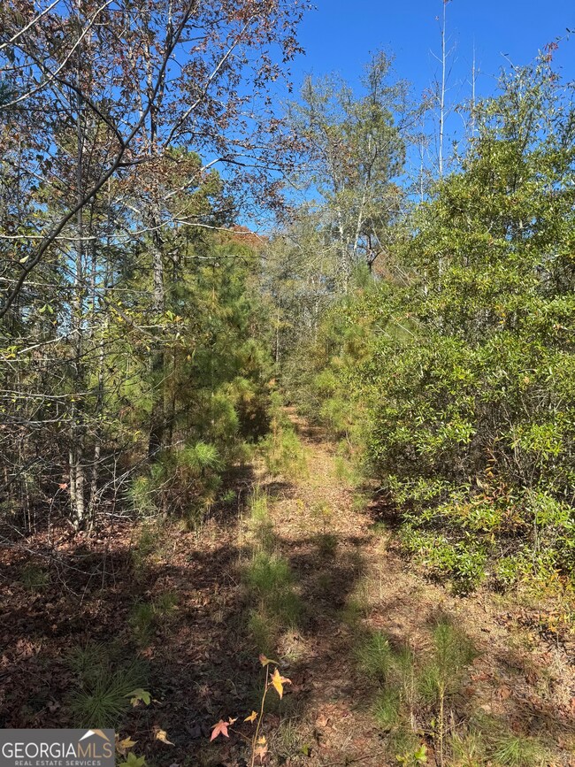 143 W Drummond Rd, West Point, GA 31833 - photo 5