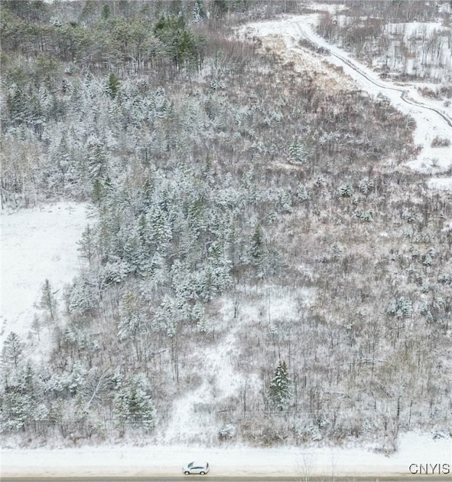 0 Eddy Rd unit S1653243, Theresa, NY 13691 - photo 4