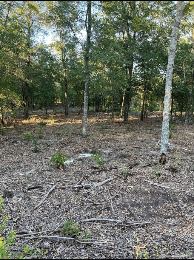 Pic 5