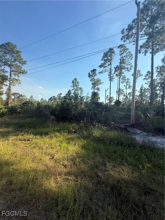 1084/1086 Ainsworth St E, Lehigh Acres, FL 33974 - photo 2