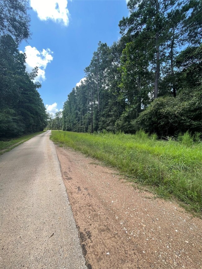 0 Bentley unit 41350372, Hockley, TX 77447 - photo 2