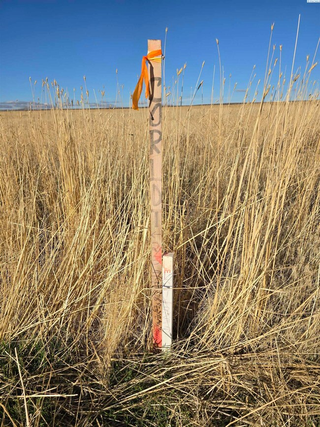 NKA N, Prosser, WA 99350 - photo 6