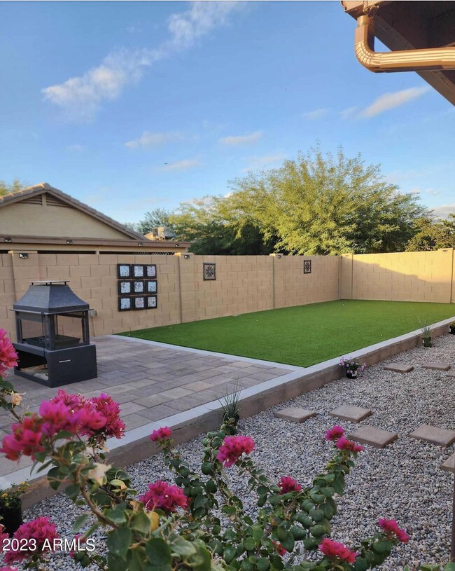Backyard