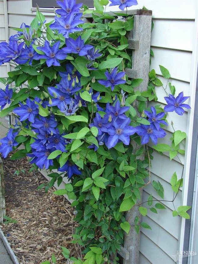 4728 E 650 S, Bluffton, IN 46714 - photo 5