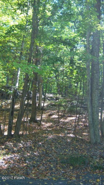 1EE24 E Shore Dr, Lords Valley, PA 18428 - photo 3