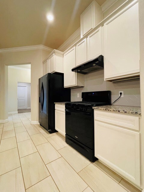 9319 Bee Balm Ave, Odessa, TX 79765 - photo 5