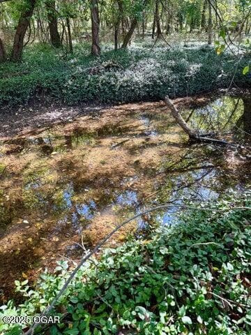 Xxx-B Teal Dr, Newtonia, MO 64853 - photo 3