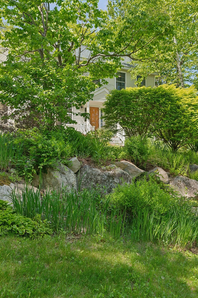 Mature Landscaping