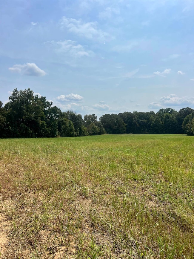 View of woods featuring a view of rural / pastoral area