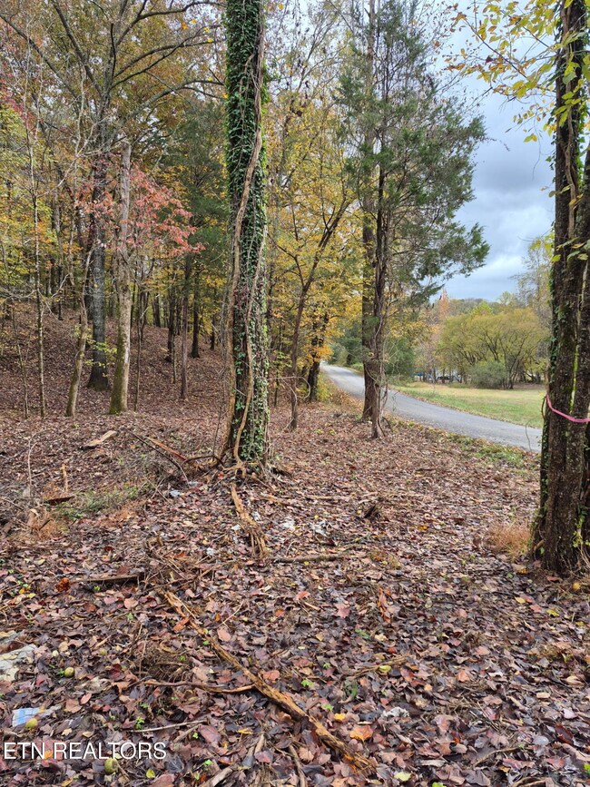 265 Jd Farm Rd, Tellico Plains, TN 37385 - photo 6