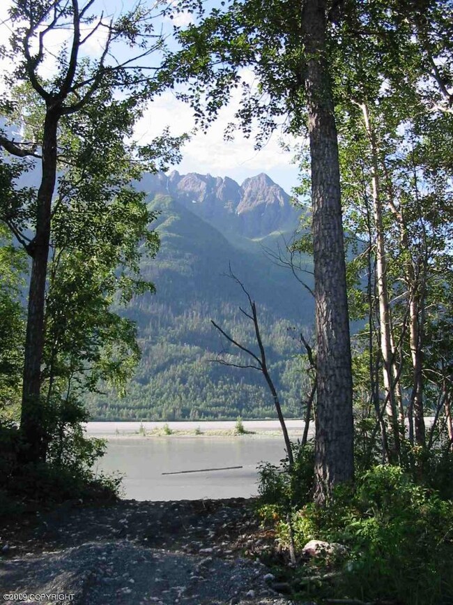 L4 B1 N Pioneer View Cir, Lakes, AK 99645 - photo 6