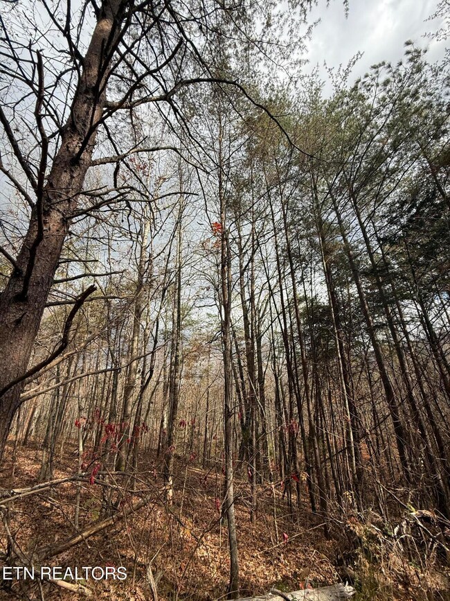 Lot 2 Parksville Rd, Benton, TN 37307 - photo 6