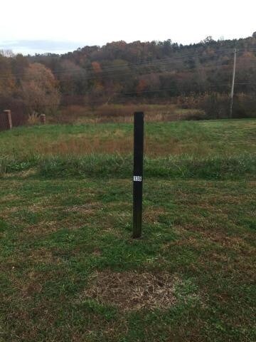 12336 Conner Springs Ln, Knoxville, TN 37932 - photo 3