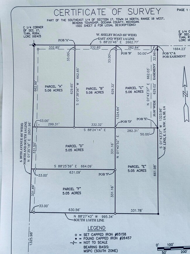 Shelby Rd Survey