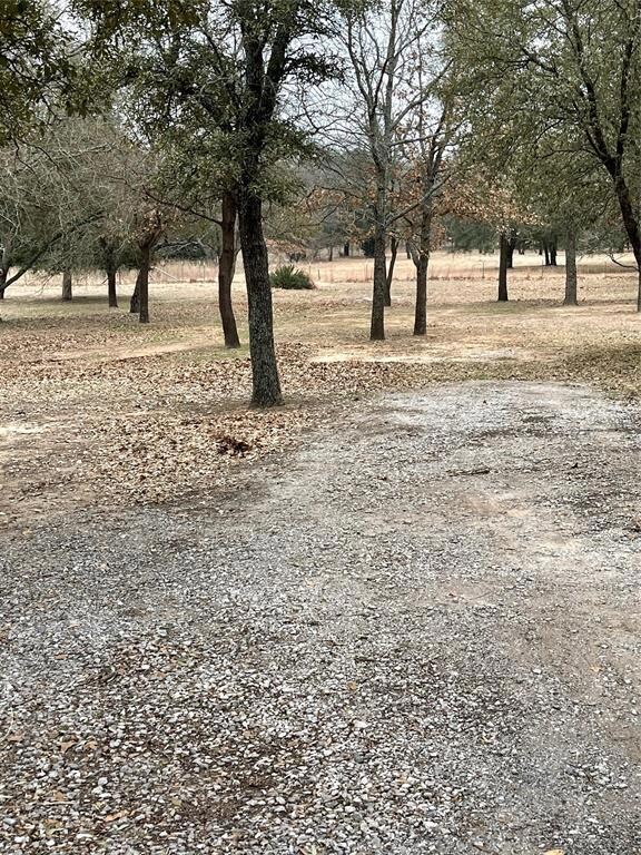 View from end of driveway to back left of property. Great Trees!