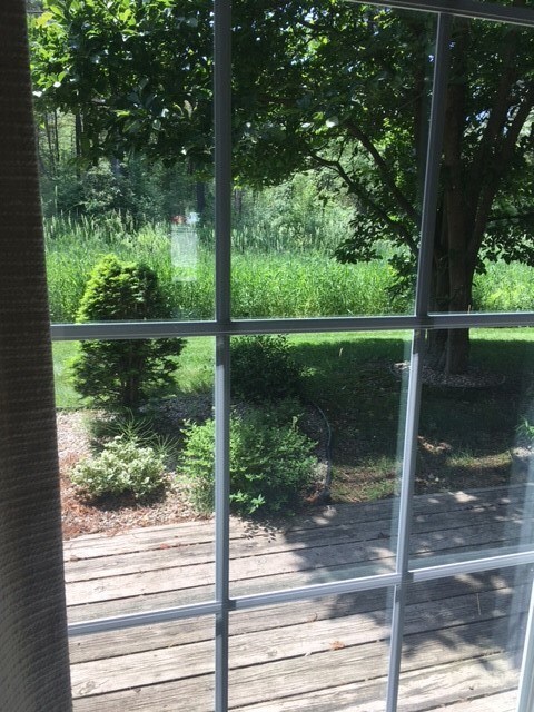 84 Hayes Ave, South Burlington, VT 05403 - photo 7