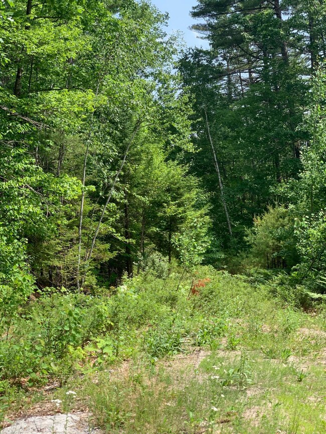 Lot 26 Mockingbird Ln, Bridgton, ME 04009 - photo 5