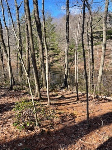 118 Ramshorn Rd, Charlton, MA 01507 - photo 6