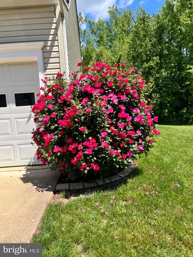 2707 Francis Ct, Fredericksburg, VA 22408 - photo 5