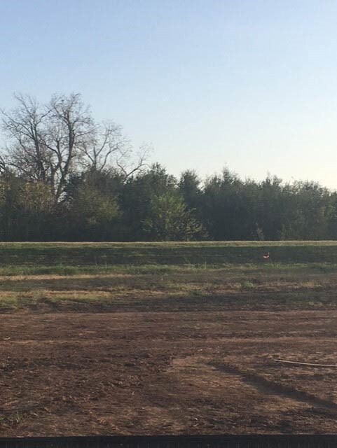 6007 Prince Place Dr, Rosenberg, TX 77471 - photo 5