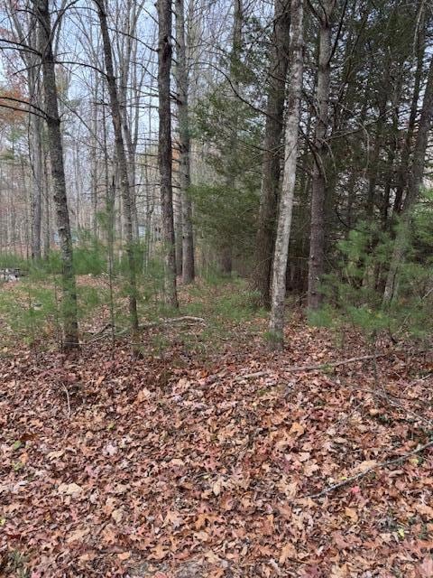 Lot 66 Sec Underwood Ln, Gap Mills, WV 24941 - photo 4