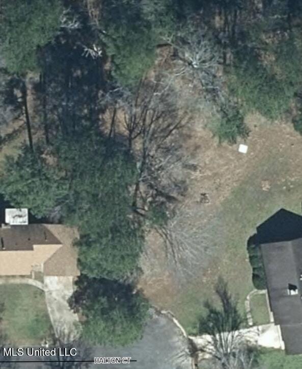 1074 Halton Ct, Brandon, MS 39047 - photo 4