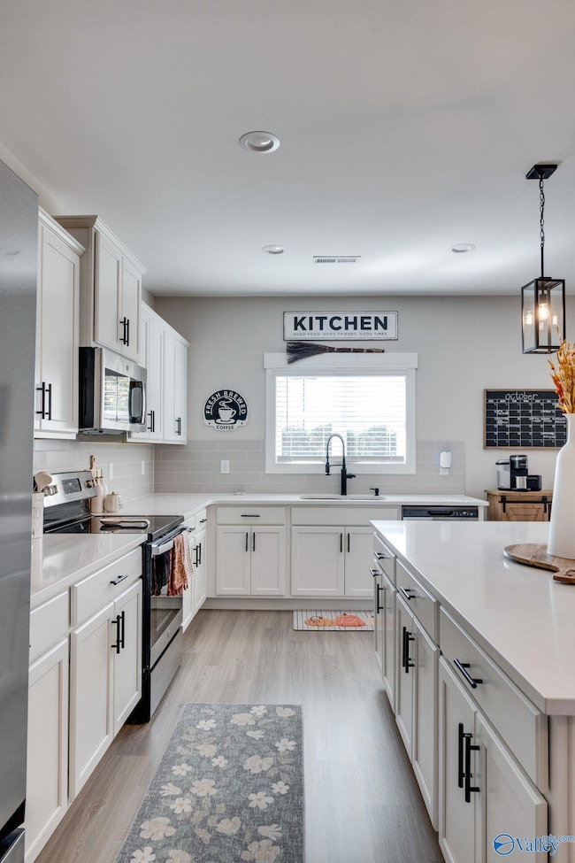 29532 Canoe Cir NW, Harvest, AL 35749 - photo 6