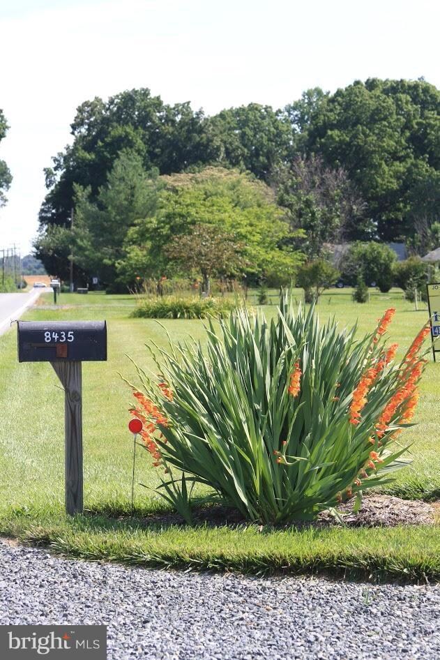 8435 Broad Neck Rd, Chestertown, MD 21620 - photo 2