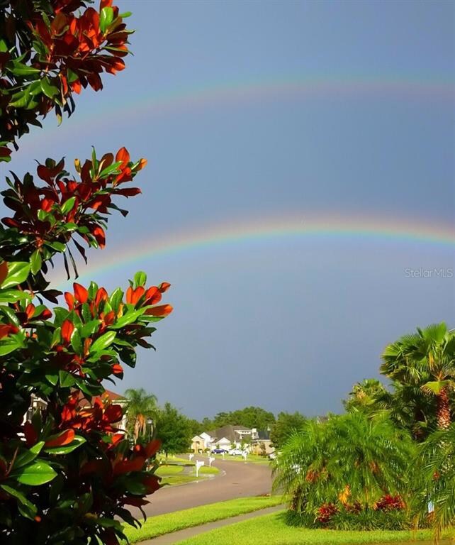 11807 Newberry Grove Loop, Riverview, FL 33579 - photo 5