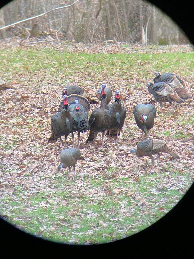 38 Holstead Rd, Natchez, MS 39120 - photo 7