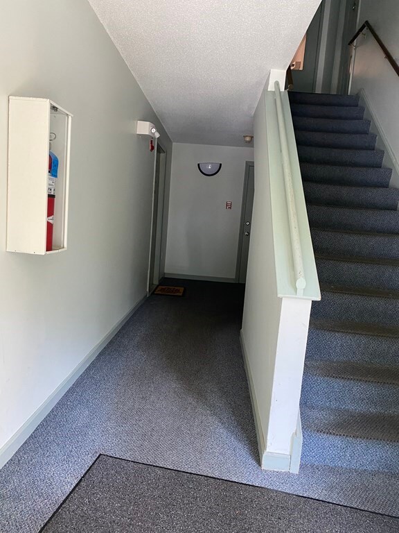 36 Walden Dr unit 11, Natick, MA 01760 - photo 5