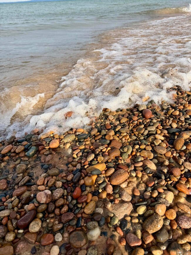 Lot 3 W North Shore Rd, Whitefish Township, MI 49768 - photo 6